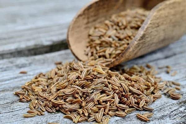 زیره سبز ایرانی درجه یک + خرید